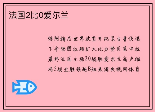 法国2比0爱尔兰